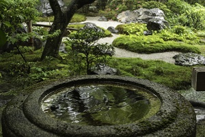 Rain at Eikando